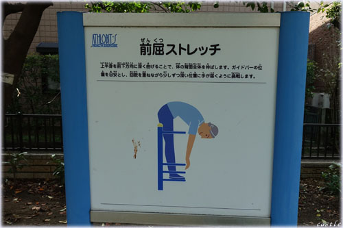 亀塚公園でストレッチ