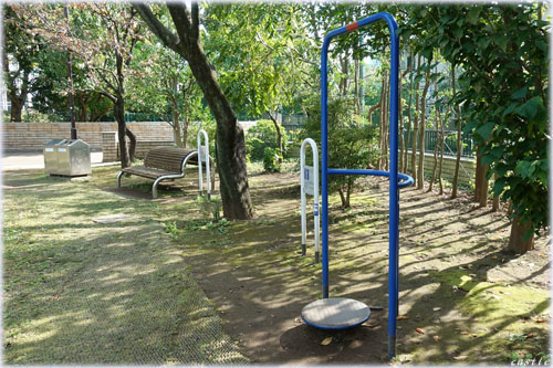 亀塚公園でストレッチ