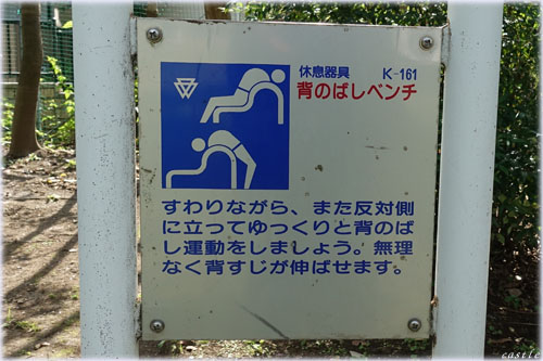 亀塚公園でストレッチ