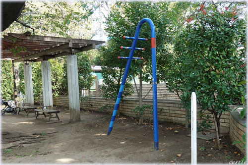 亀塚公園でストレッチ