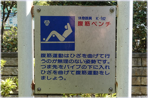 亀塚公園でストレッチ