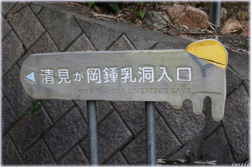 清見が岡鍾乳洞