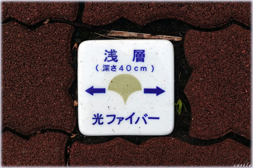 母島・歩道のプレート