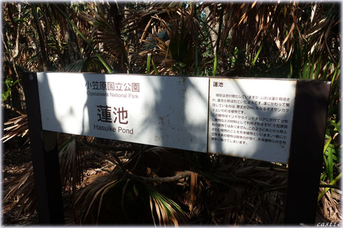 小富士