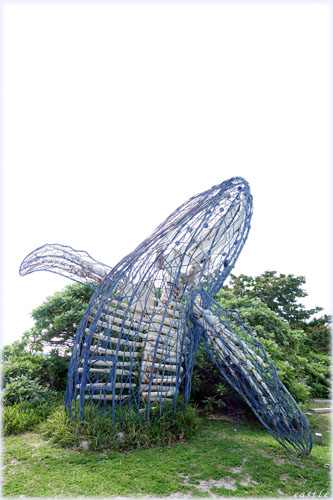 呺C