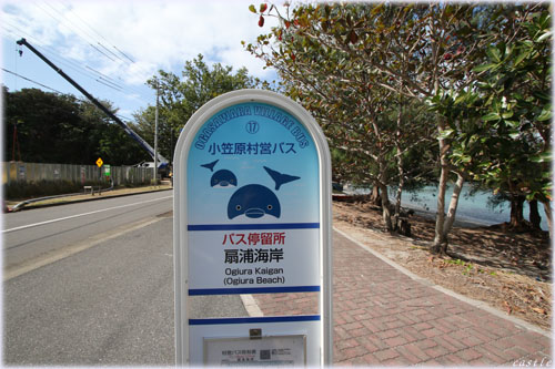 扇浦海岸