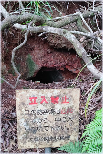 小笠原亜熱帯農業センター
