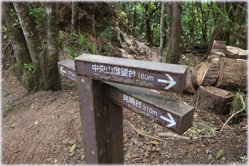 中央山