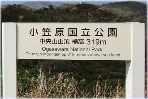 中央山