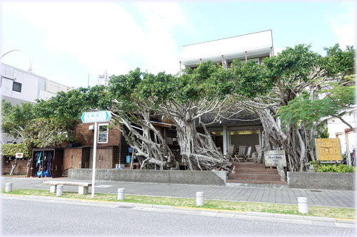 HeartRockCafe
