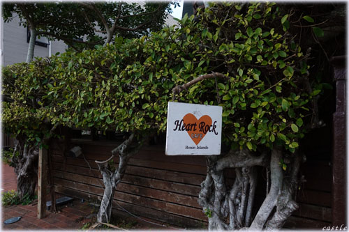 HeartRockCafe