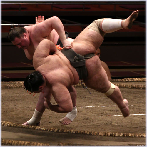 蓊