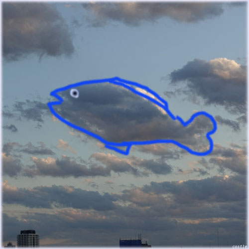 お魚雲