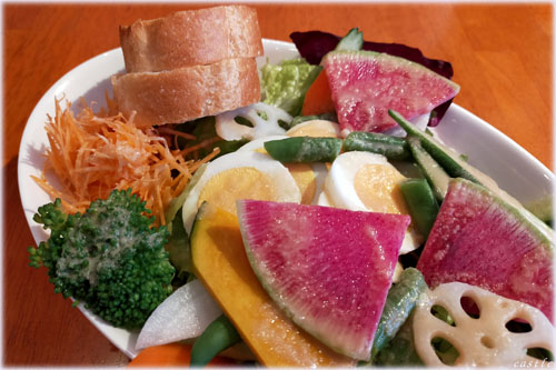 �T���_�u���b�N�t�@�X�g