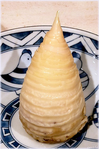タケノコ