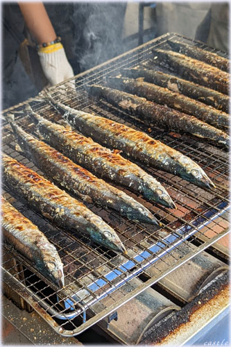 発見!ふくしま お魚まつり