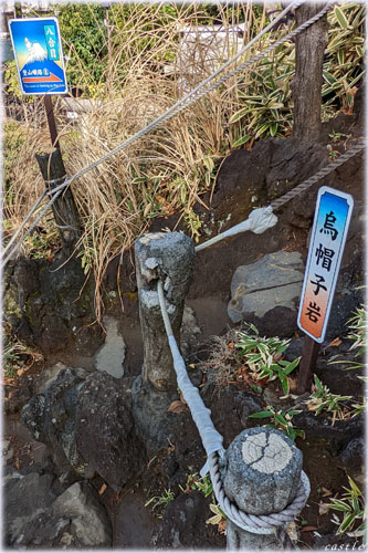 富士塚登山@千駄ヶ谷