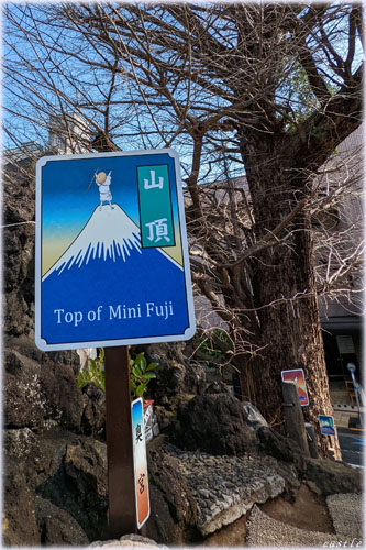 富士塚登山@千駄ヶ谷