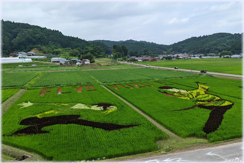 cڃA[g