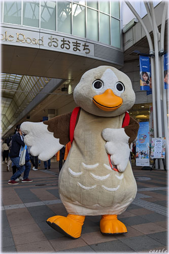 p^肳