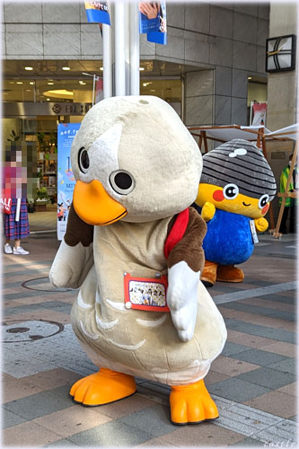 p^肳{zbL[