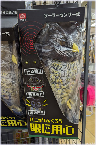 ӂ낤