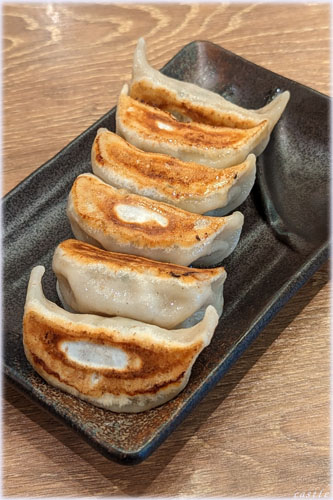 肉汁餃子のダンダダン