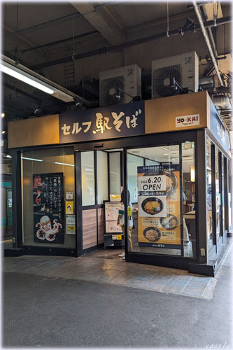 セルフ駅そば