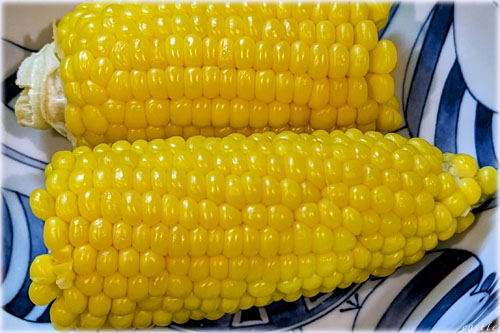 Ƃ