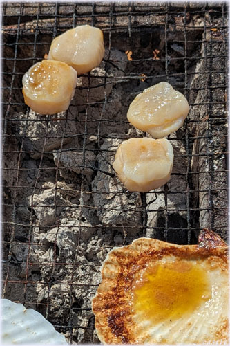 |ŊCNBBQ