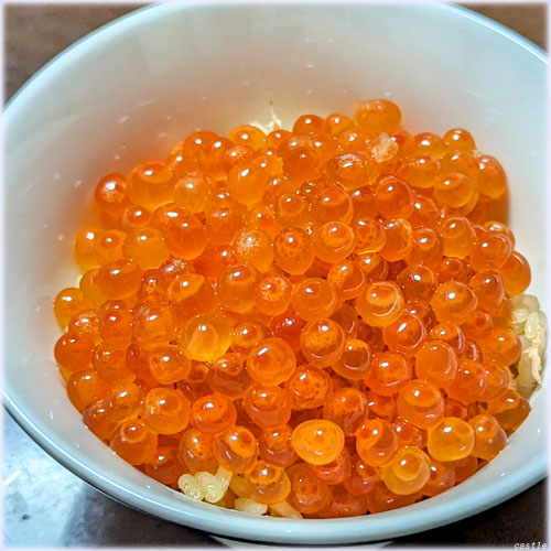 قڃCN