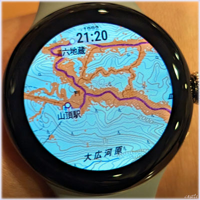 Pixel Watch 2
