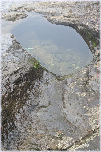 下山で沢下り
