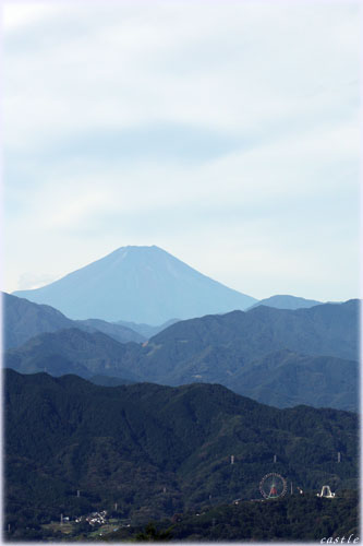 高尾山山頂から富士山