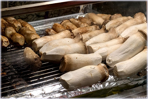 �m�і�s�ŃG�����M��