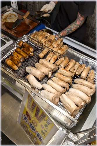 �m�і�s�ŃG�����M��