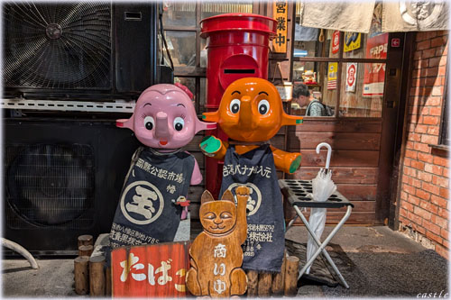 �m�і�s�̃T�g�����