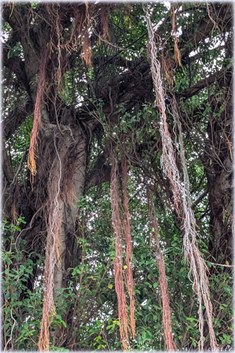 �K�W���}��