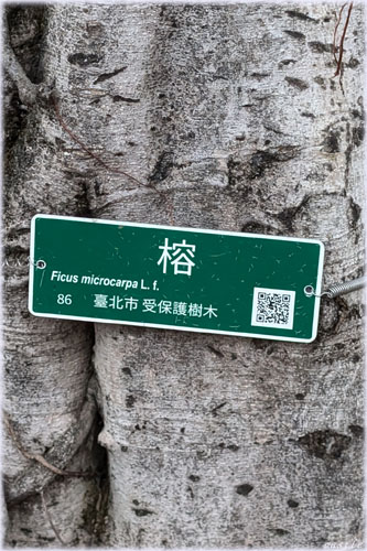 �K�W���}��