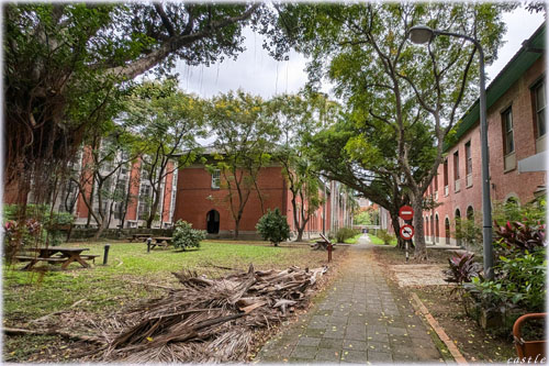 �w�Z����