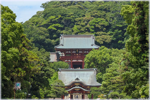 �߉������{