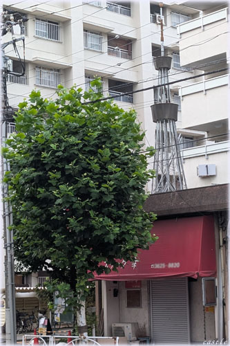 謎のスカイツリー