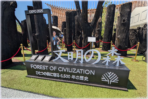 大阪万博(3)文明の森: 日々の雑記＠castle