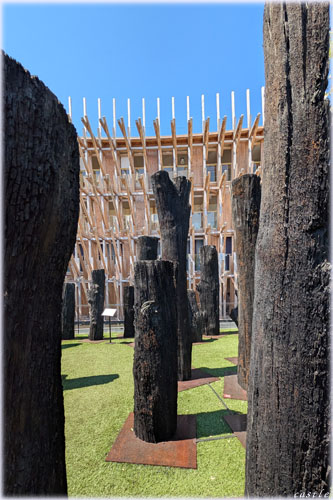 大阪万博 文明の森 THE STORY OF A TREE 非売品 万博非売品】THE STORY OF A TREE - メルカリ