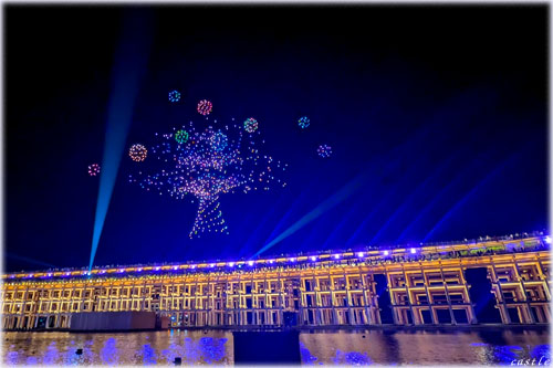 ��㖜���F�h���[���V���[