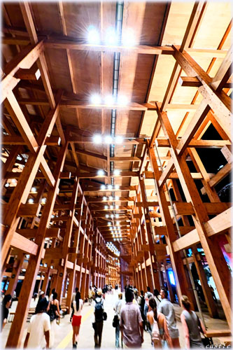 ��㖜���F��̑剮�������O