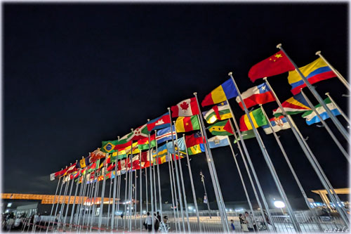 ��㖜���F������