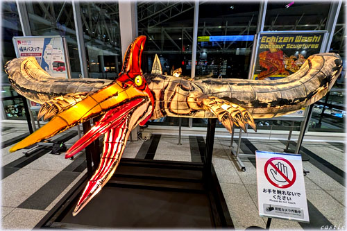 ��㖜���F���H�H