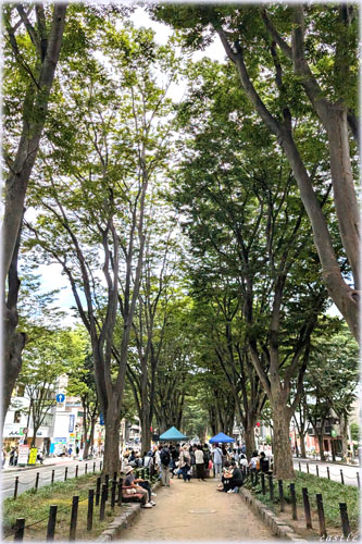 定禅寺ストリートジャズフェスティバル2025