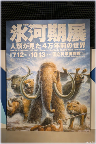 氷河期展